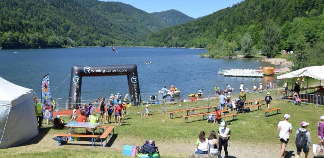 Relais Des Vosges Apartman Husseren-Wesserling Kültér fotó