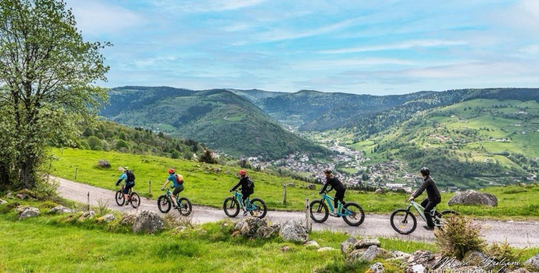 Relais Des Vosges Apartman Husseren-Wesserling Kültér fotó